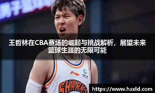 王哲林在CBA赛场的崛起与挑战解析，展望未来篮球生涯的无限可能